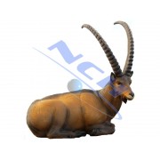 SRT Diana 3D Ibex echado