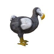 Eleven Target 3D Dodo