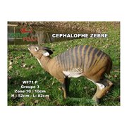 Natur Foam 3D Target CEPHALOPHUS ZEBRA