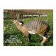 Natur Foam 3D Target CEPHALOPHUS ZEBRA