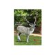 Natur Foam 3D Target FALLOW DEER