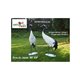 Natur Foam 3D Target JAPANESE CROWNED CRANE