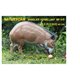 Natur Foam 3D Target WILD BOAR - GRUBBING