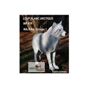 Natur Foam 3D Target ARCTIC WHITE WOLF - STANDING