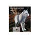 Natur Foam 3D Target ARCTIC WHITE WOLF - STANDING