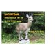 Natur Foam 3D Target KLIPSPRINGER