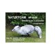 Natur Foam Diana 3D ZORRO BLANCO CORRIENDO