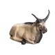 Wild Life 3D Target POLAR GOAT - BEDDED