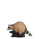 Wild Life 3D Target RACCOON