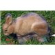 Natur Foam 3D Target Rabbit - Grazing