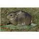 Natur Foam 3D Target RABBIT - LYING