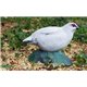 NATUR FOAM 3D TARGET PTARMIGAN