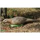 Natur Foam 3D Target PHEASANT - HEN