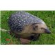 Natur Foam 3D Target HEDGEHOG