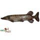 Natur Foam 3D Target Pike