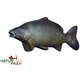 Natur Foam 3D Target Carp