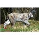 Natur Foam Diana 3D LINCE