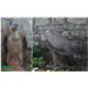 Natur Foam 3D Target VULTURE