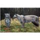 Natur Foam 3D Target PUMA - STANDING