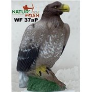 Natur Foam Diana 3D ÁGUILA