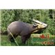 Natur Foam Diana 3D MUNTJAC