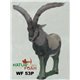 Natur Foam 3D Target MACHO MONTES - STANDING