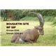 Natur Foam 3D Target IBEX - BEDDED