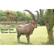 Natur Foam 3D Target IBEX - STANDING