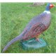 Wild Life 3D Target PHEASANT RED