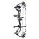 Bear Archery Kit de Arco Compuesto LEGEND 30